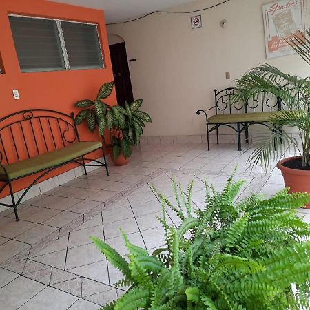 Green Monkey Hostel Флорес Екстер'єр фото