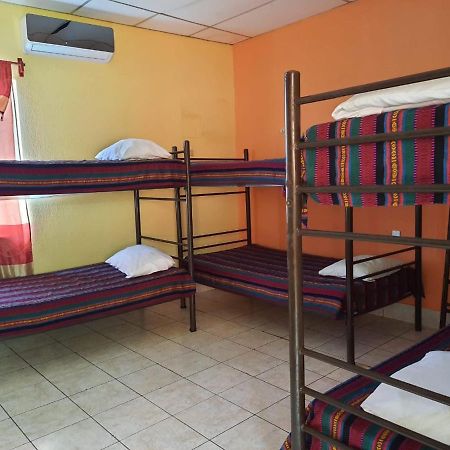 Green Monkey Hostel Флорес Екстер'єр фото