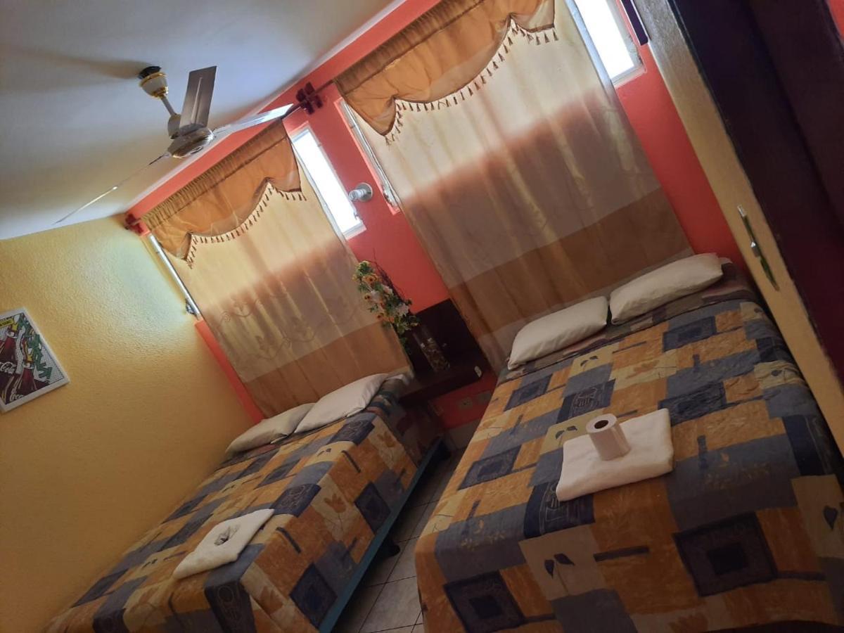 Green Monkey Hostel Флорес Екстер'єр фото